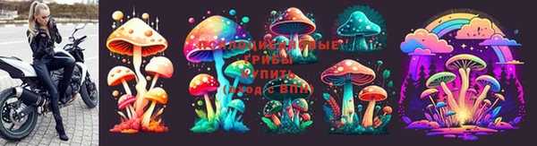 марихуана Абаза