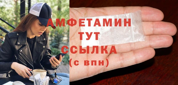 мет Алексин